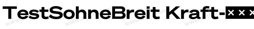 TestSohneBreit Kraft字体转换